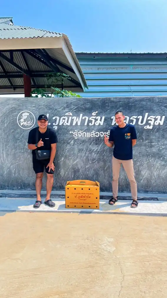 ครองลาภฟาร์ม พัฒนาสายเลือด ป.วุฒิฟาร์ม