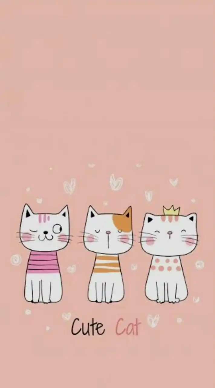 🌈🪻🌷ทอม ดี้ เลส ญญ >> คุยกัน 🌹💐🦋