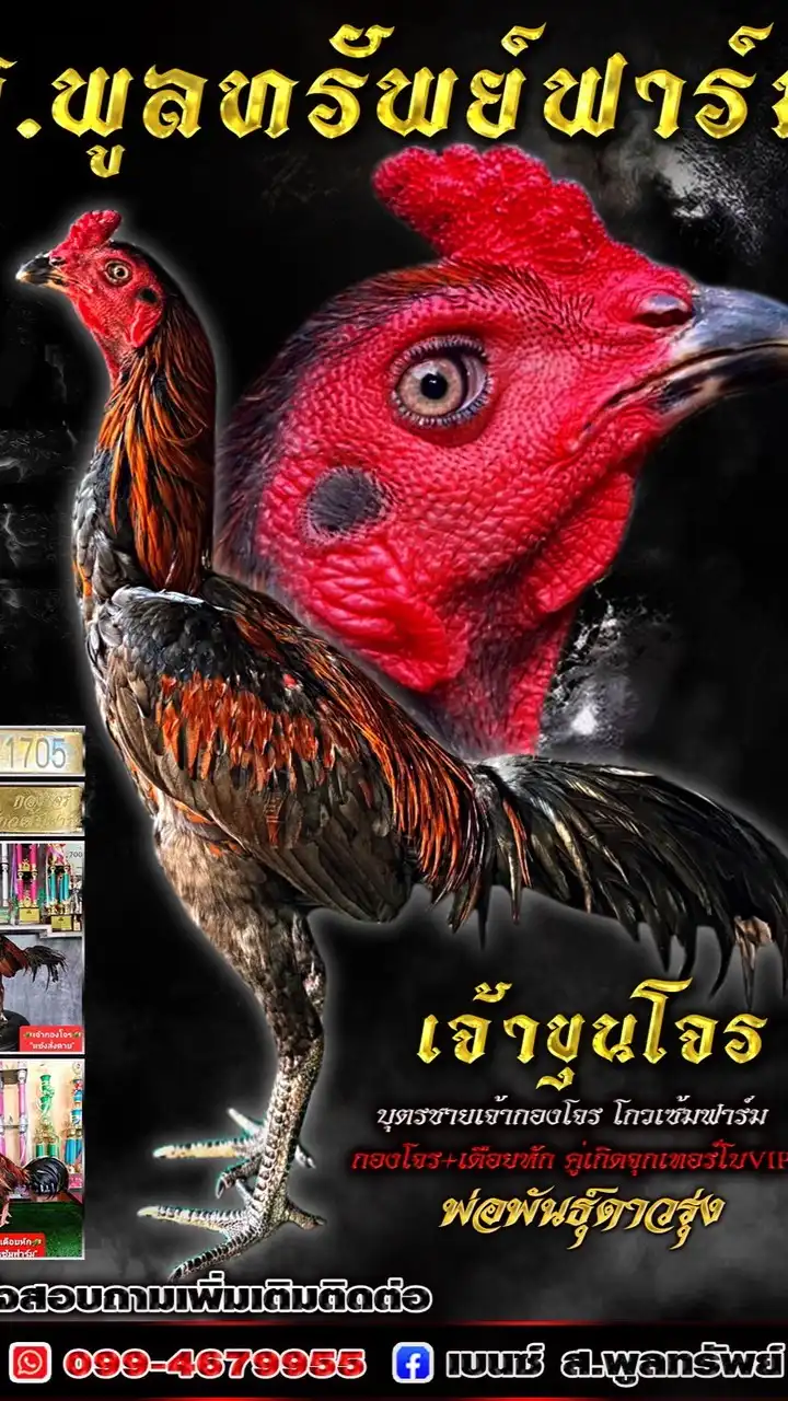 ส.พูลทรัพย์ฟาร์ม อำนาจเจริญ