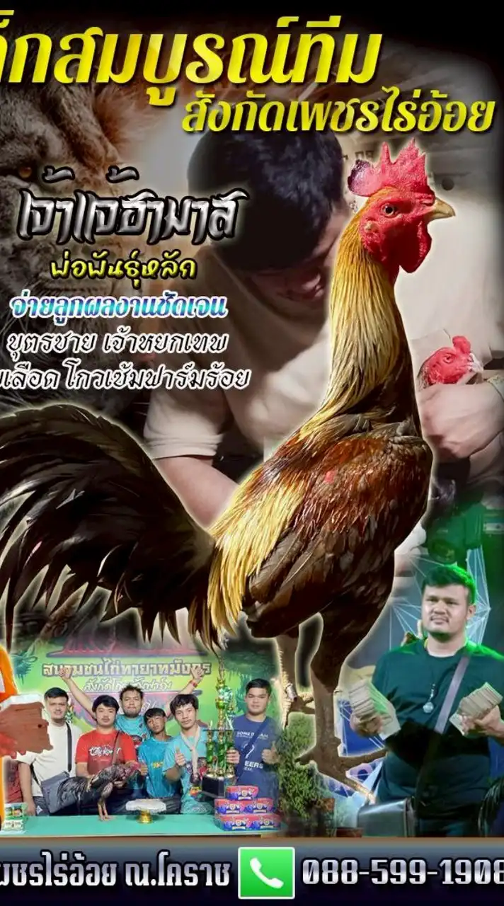 เด็กสมบูรณ์ทีม..เลือดมังกร