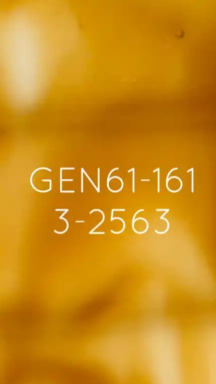 GEN161-3/2563