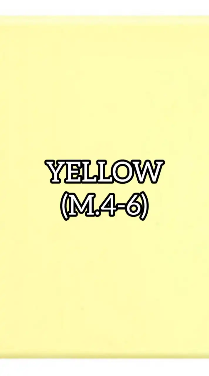 YELLOW66 (M.4-6)