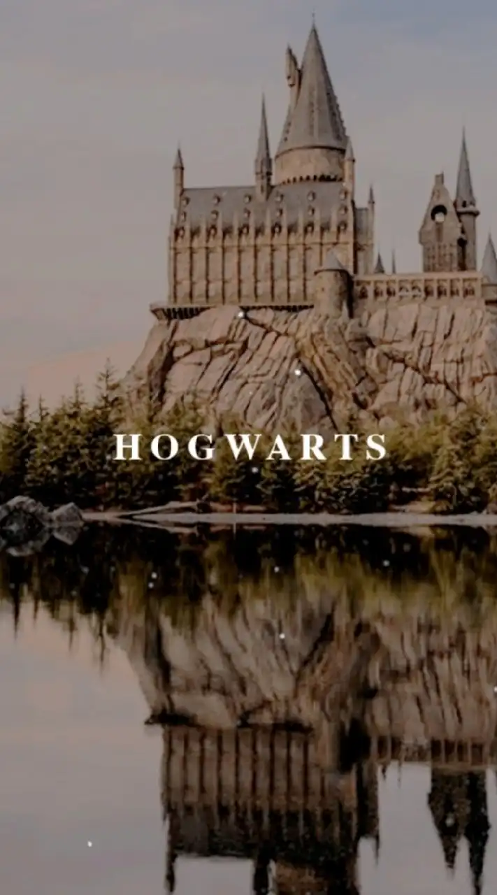 HOGWARTS SCHOOL.