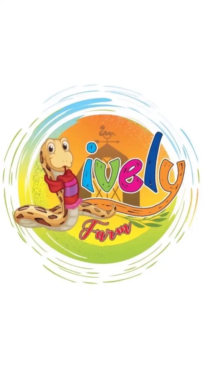 Lively Farm Ball Python