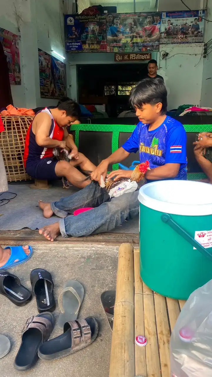 ซุ้มเดอะทีมซิ่ง
