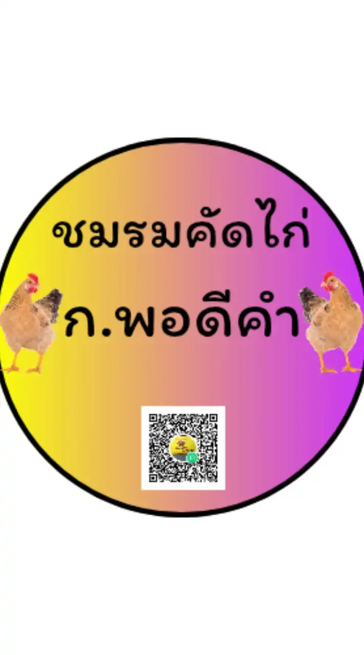 ชมรมคัดไก่ ก.พอดีคำ