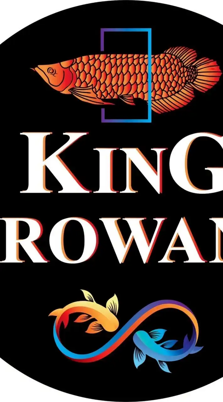King Arowana 🐟✨