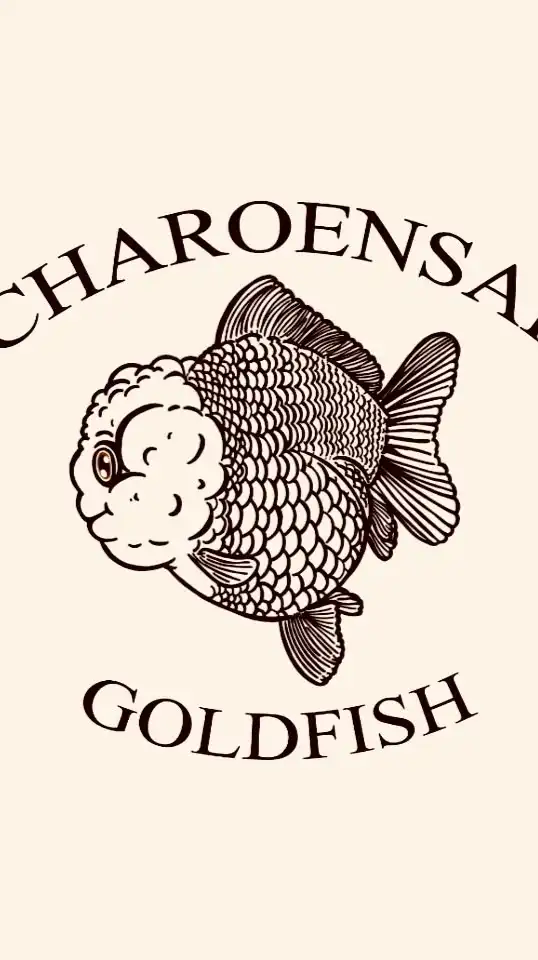 Charoensap Goldfish