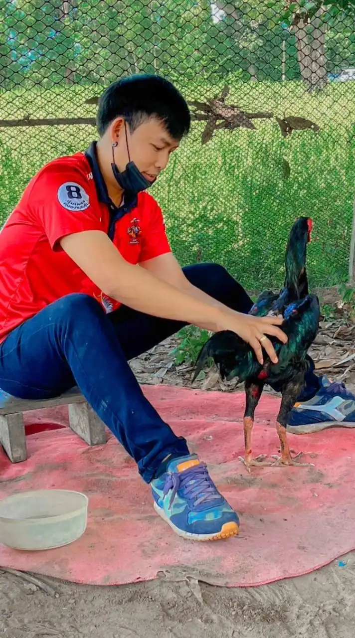 ซุ้ม ป.ปัญญา