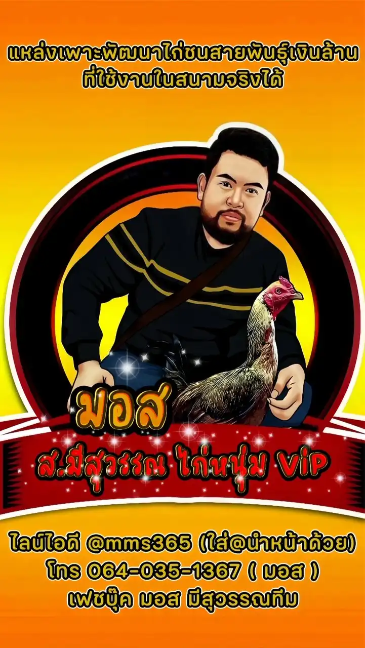 กลุ่มคลิปไก่คัดผ่านซุ้มตี และ เปิดจองลูกก้านกล้วย