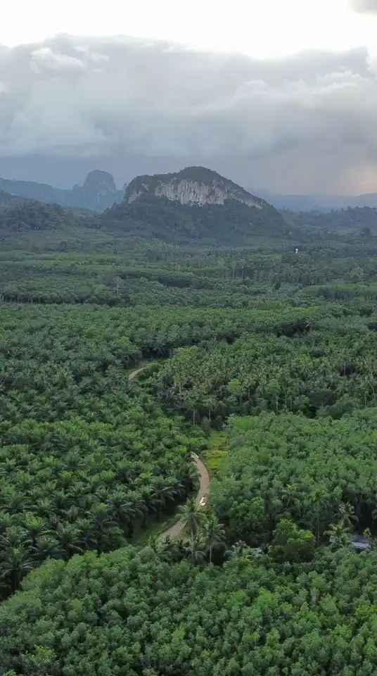 แจ้งข่าว กองช่าง อบต.ทุ่งระยะ