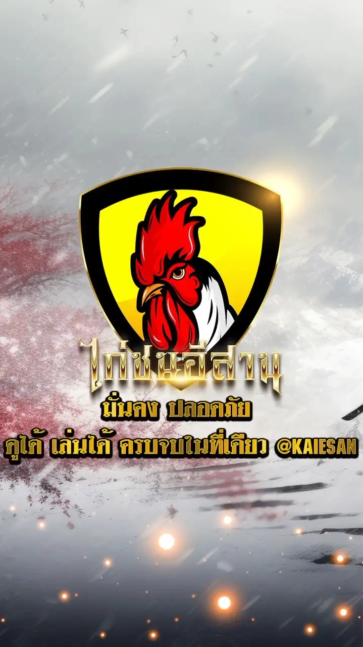 ไก่ชนอีสาน🐔 เล่น-ไก่ชน