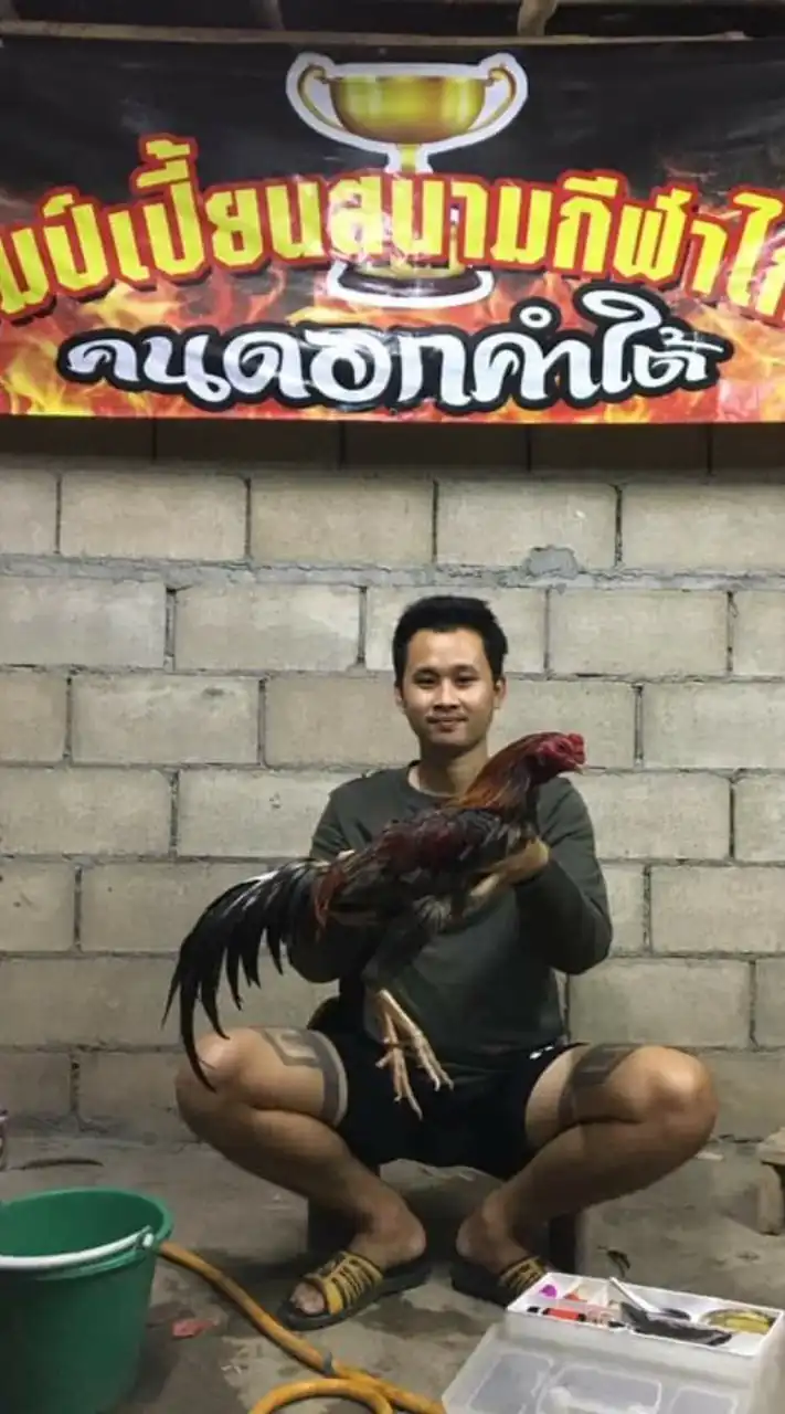 บิ๊กไก่ชน บ่อตกปลาศุภวัฒน์$หนุ่มใต้หวันฟาร์ม