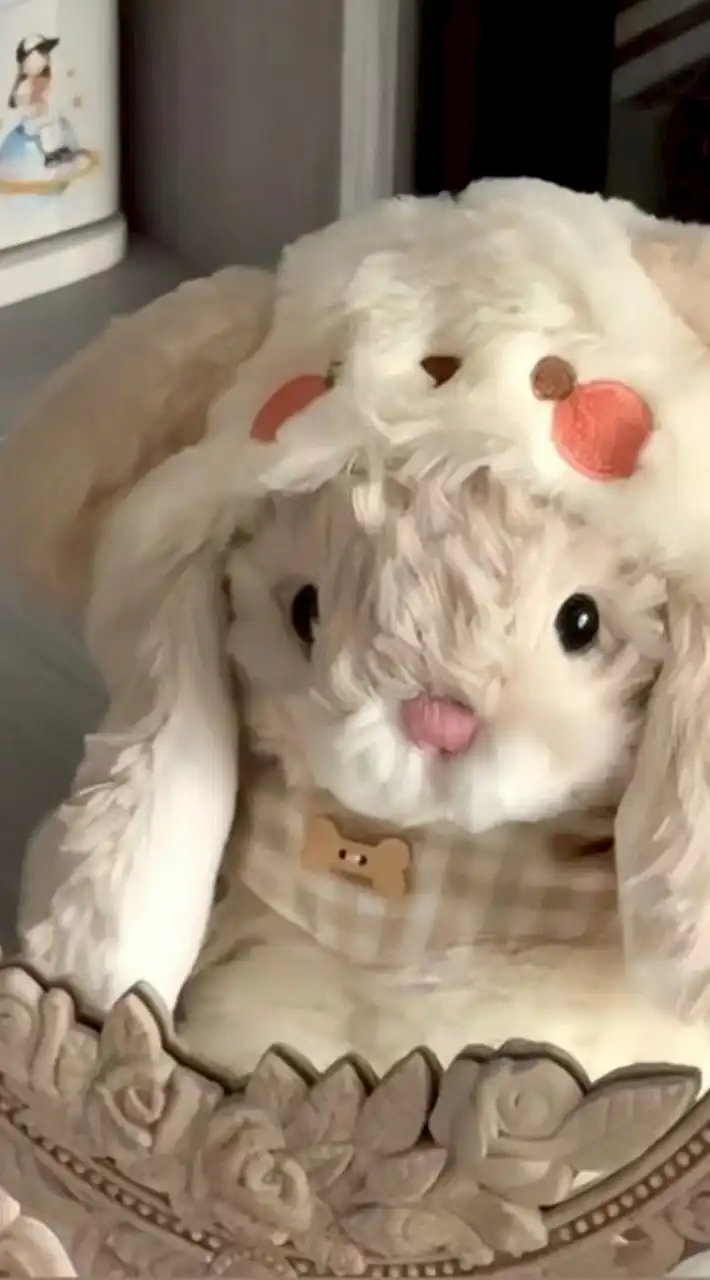 💖🐇✨ คุยเล่นหาเพื่อนน🫧🕊️💖