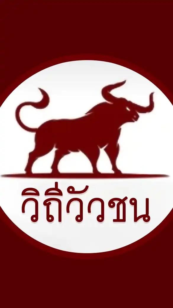 วิถีวัวชน - ข่าวสาร เปรียบวัว
