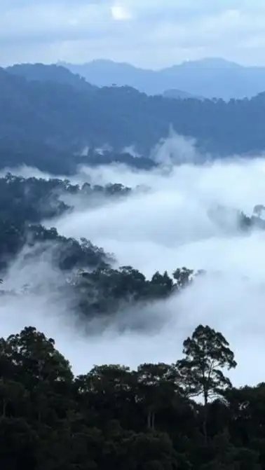 From River to Sky Trip