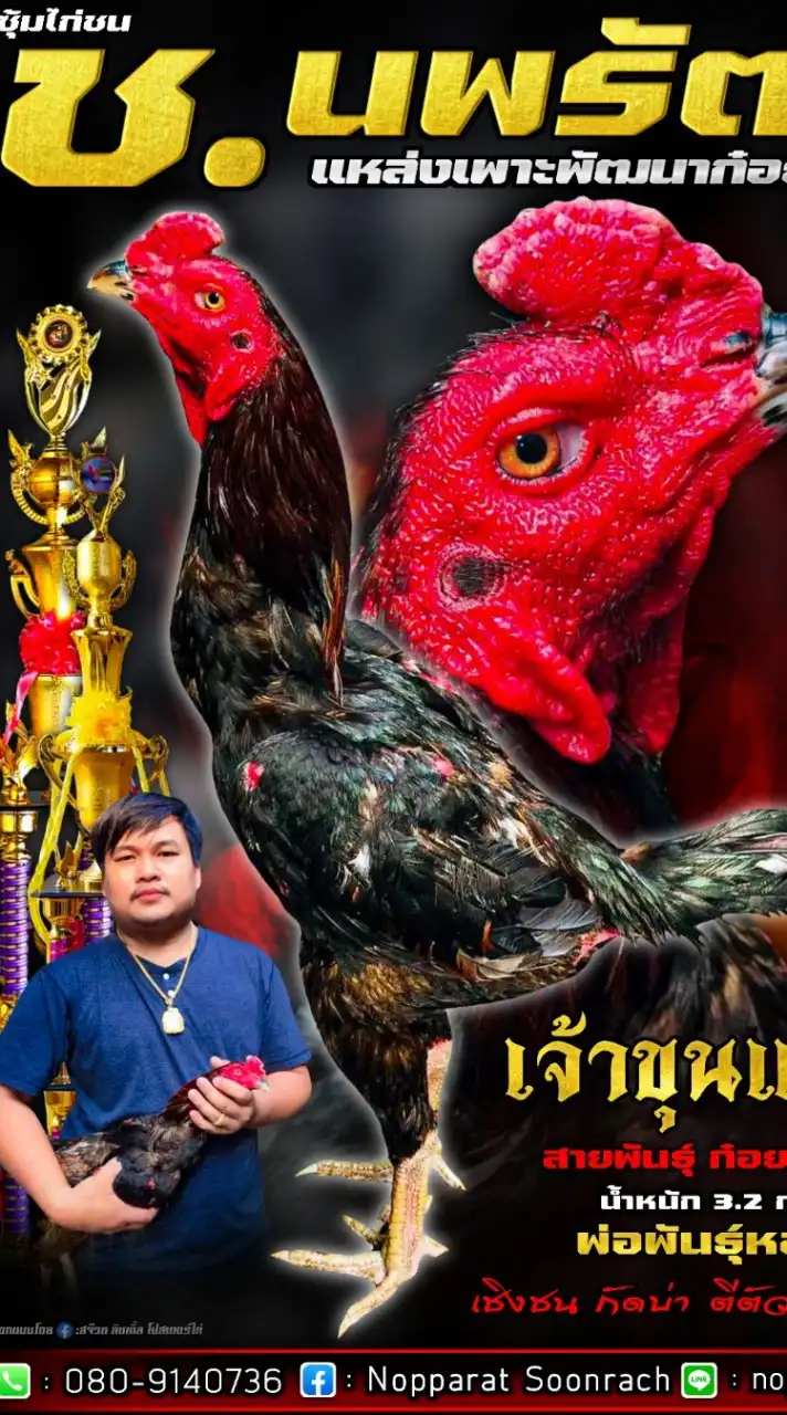 ซุ้ม ช.นพรัตน์ ป่าก๋อยพัฒนา