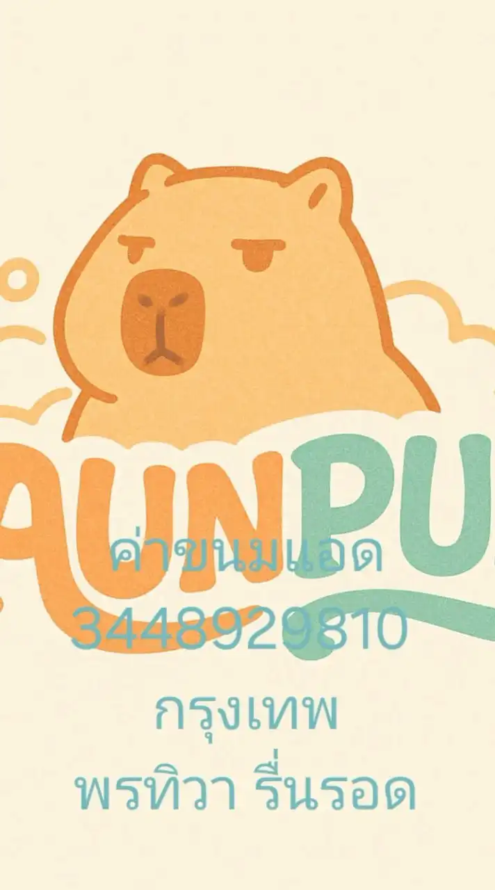 ซีรีส์ของAUNPUN