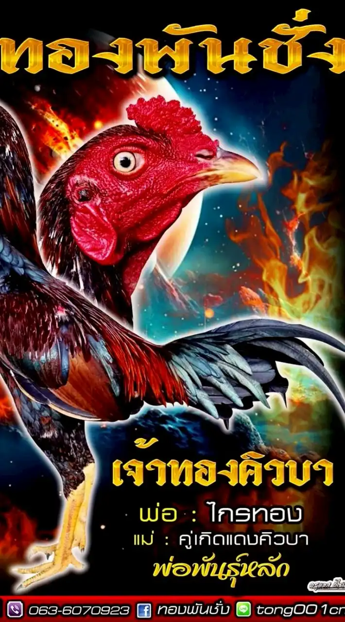 ทองคิวบา (ซุ้มทองพันชั่ง)