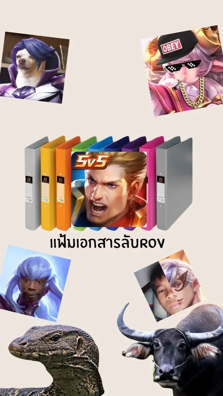 แฟ้มเอกสารลับROV