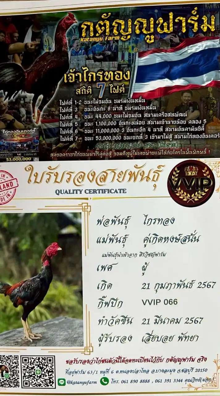 หงษ์ทอง tong001cm