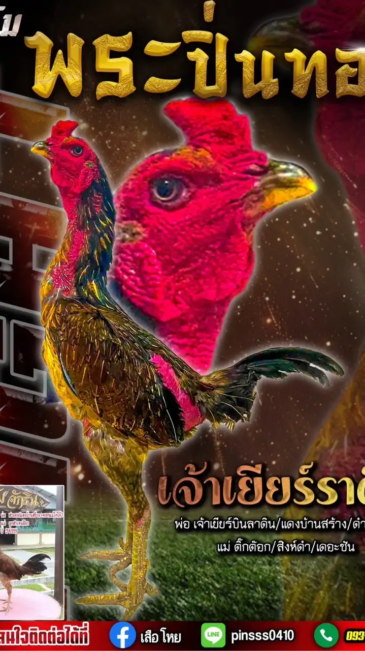 ซุ้มพระปิ่นทอง เตะให้รู้จัก