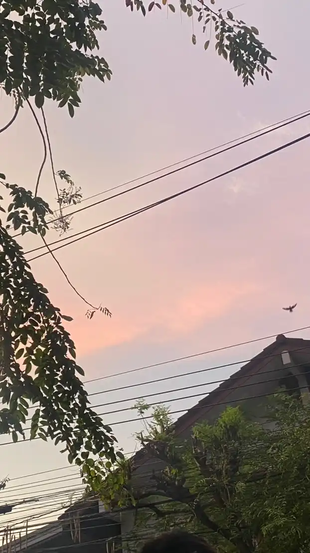 แจกภาพวิว