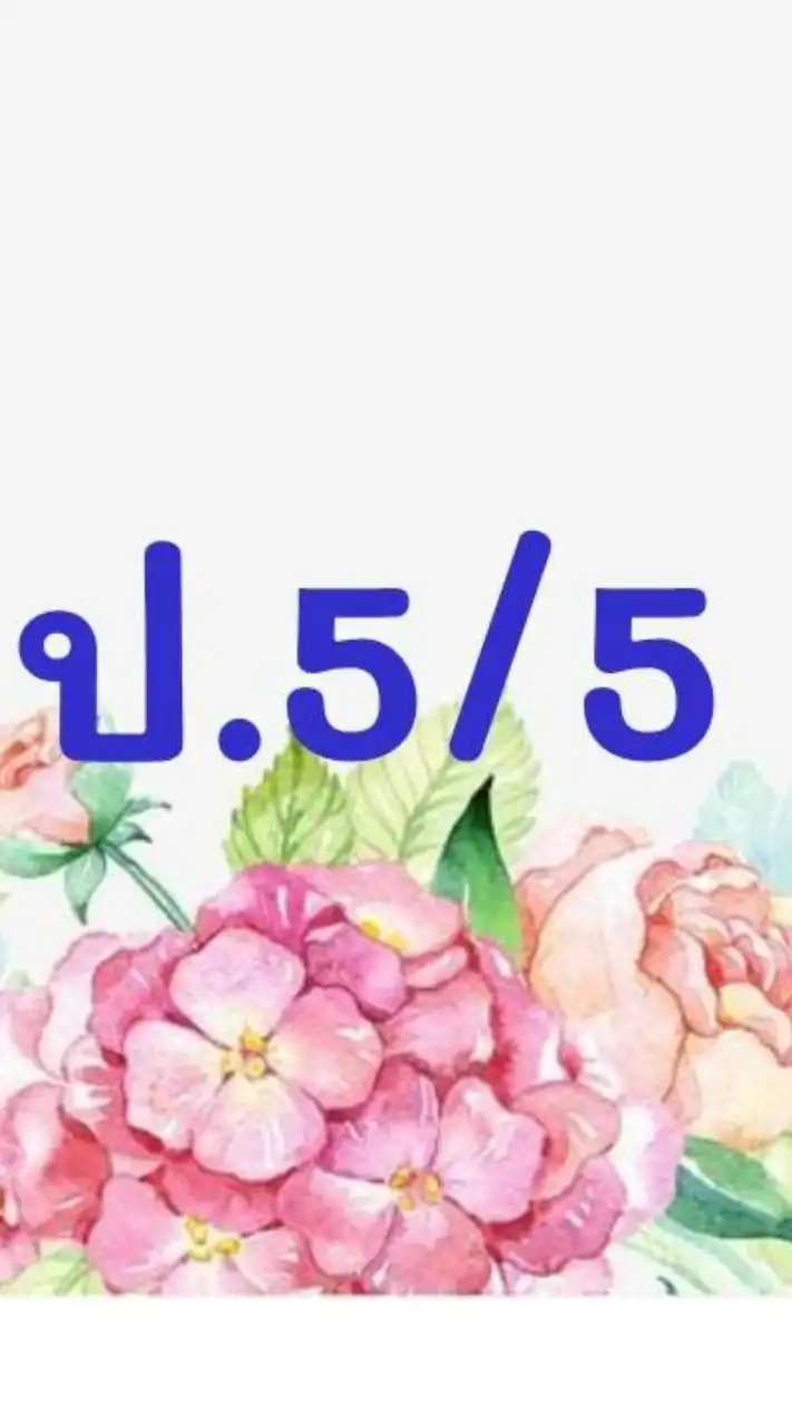 ป.5/5