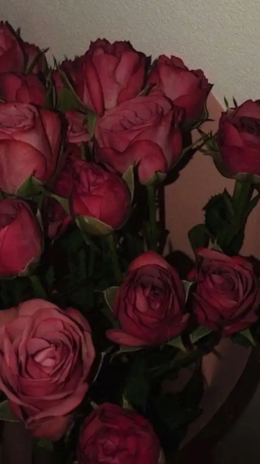 ห้อง 𝓘𝓷𝓭𝓲𝓮🦋