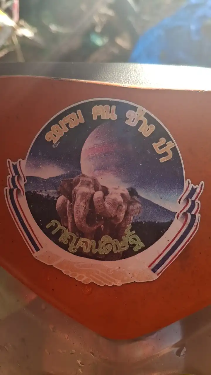 ชมรมคนช้างป่า