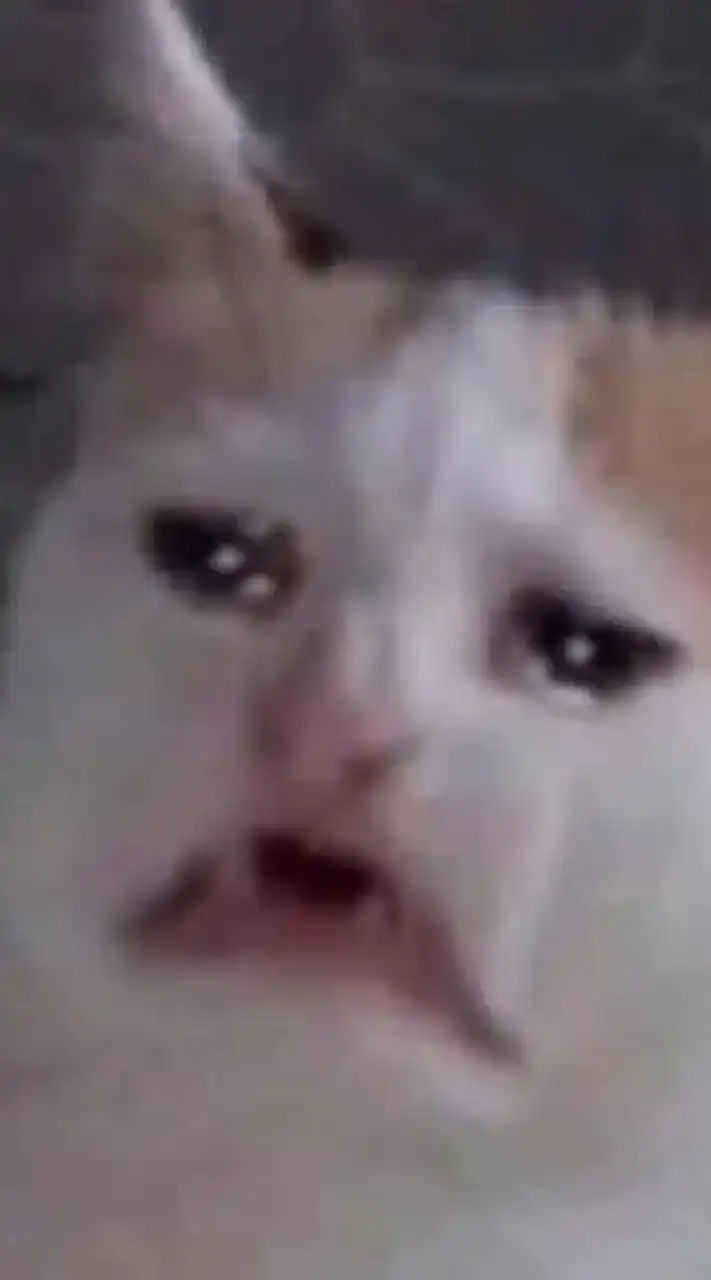 พาเหรด