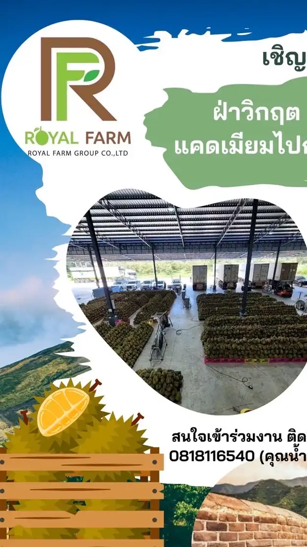 รอยัลฟาร์ม 2025