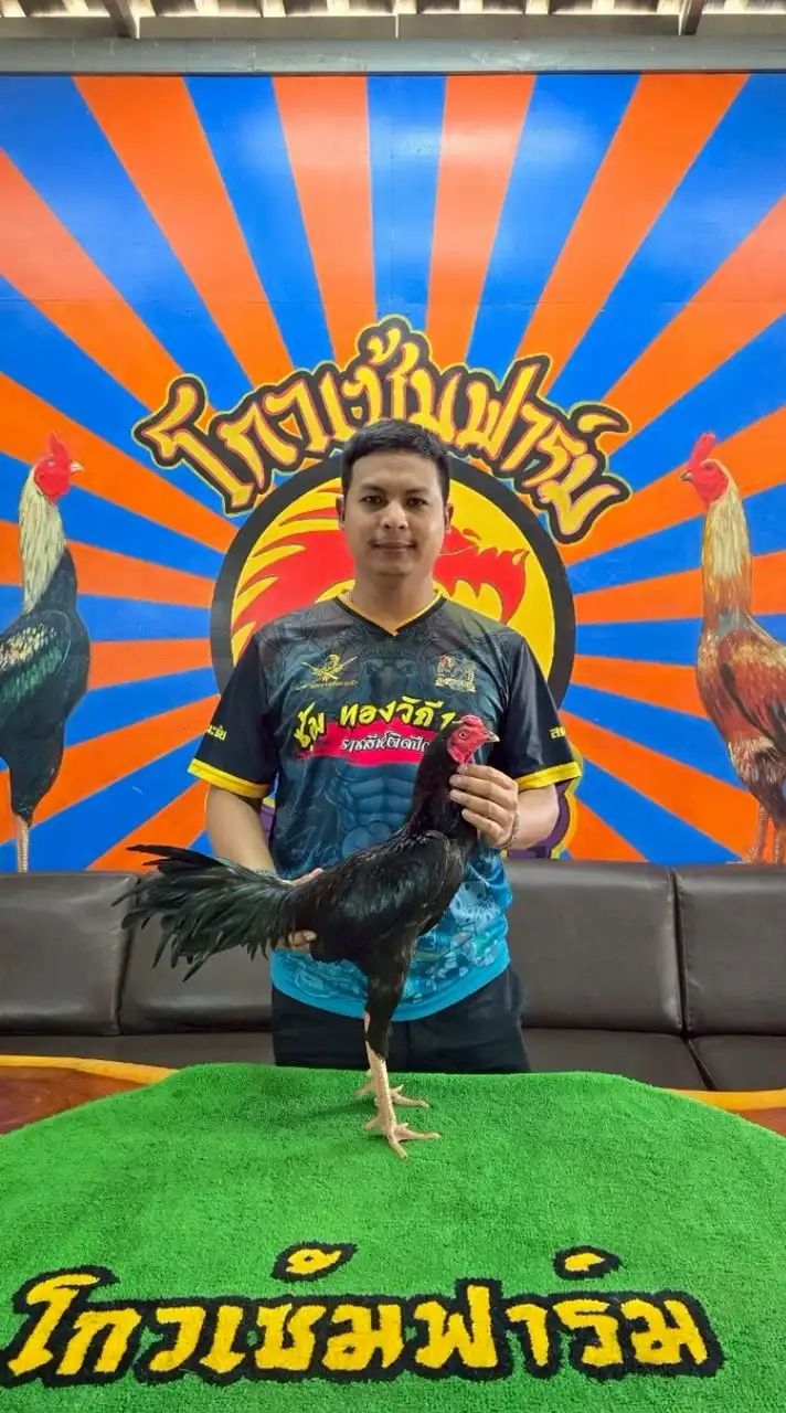 ทองวิถี 168 🐉สายเลือดโกวเซ้มฟาร์ม🐉