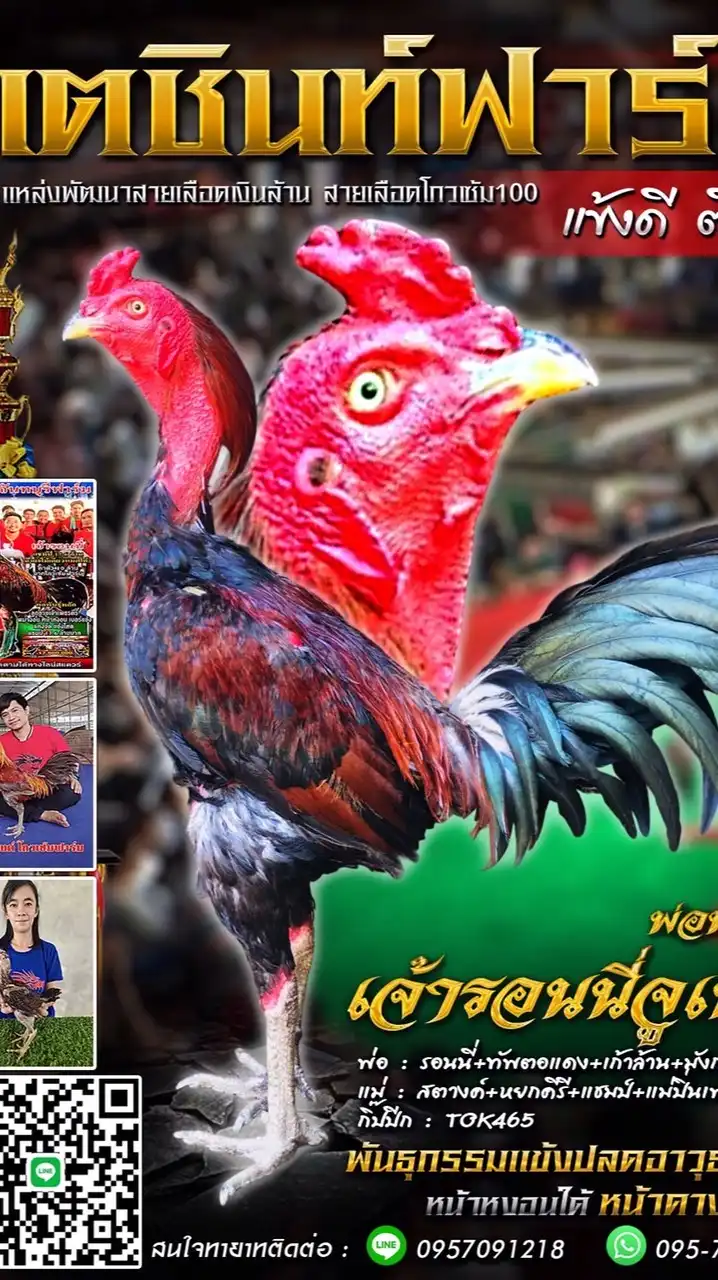 Eak Taechin พัฒนาสายเลือดเงินล้าน"พม่าแข้งหน้า"