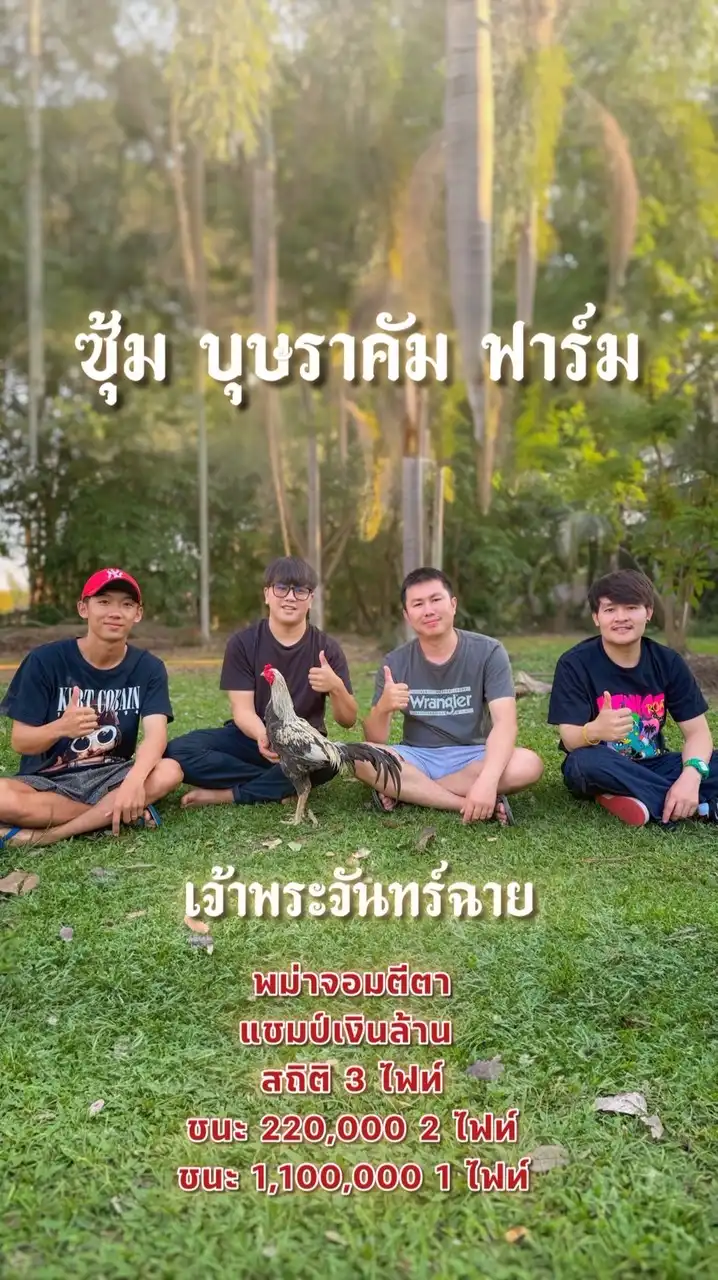 💎ซุ้ม.บุษราคัม💎[คัดไก่VIP]
