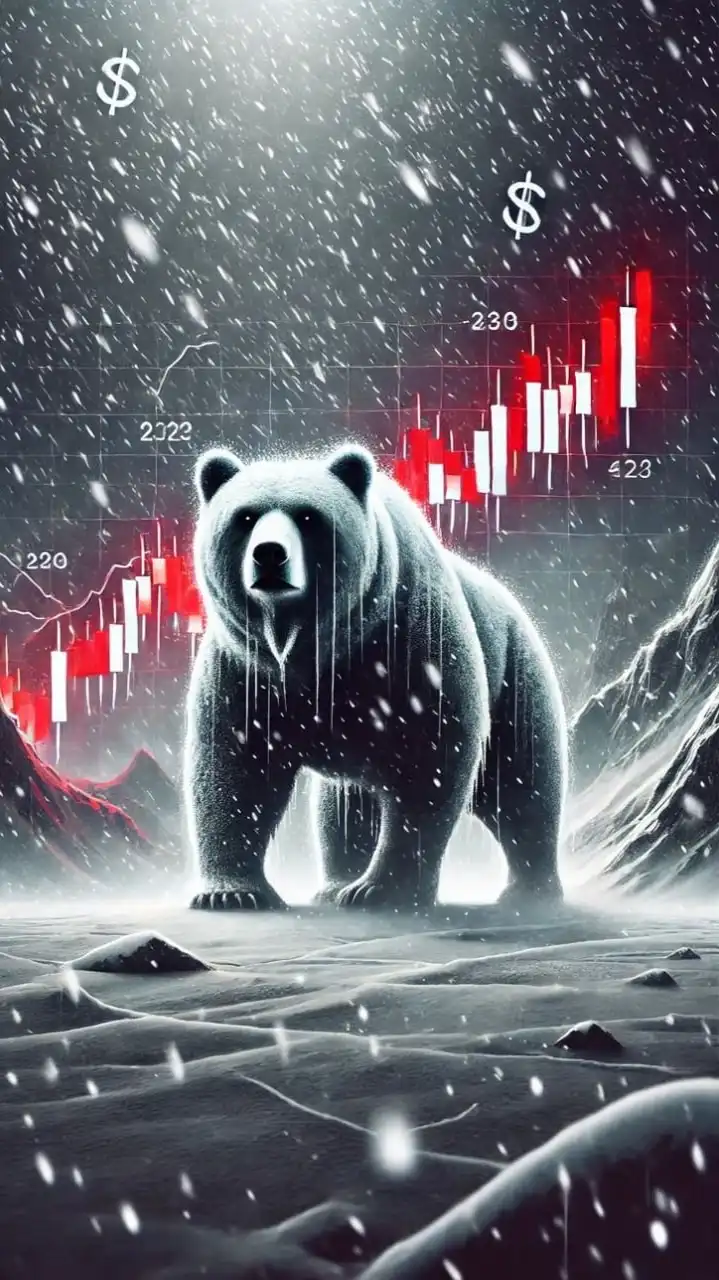 Bulls & Bears Club-ST0A2