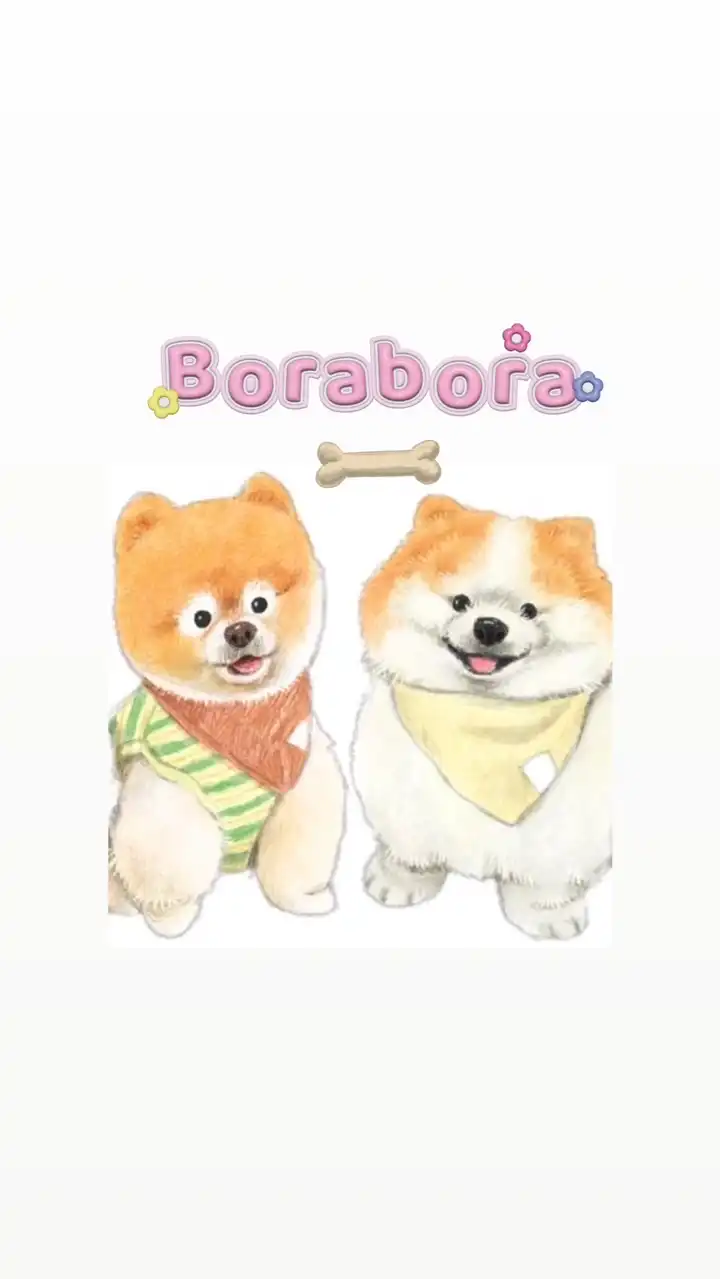 Borabora.Bow~🐾💜