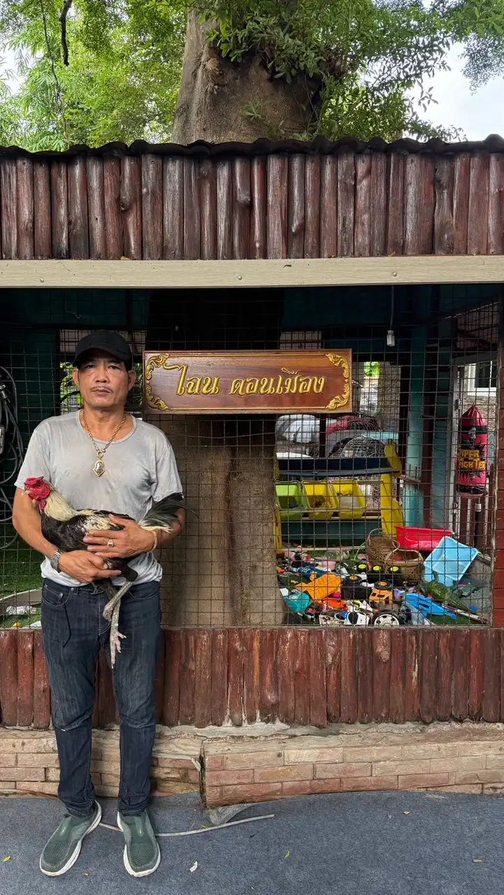 ไฉนดอนเมือง สายพม่า