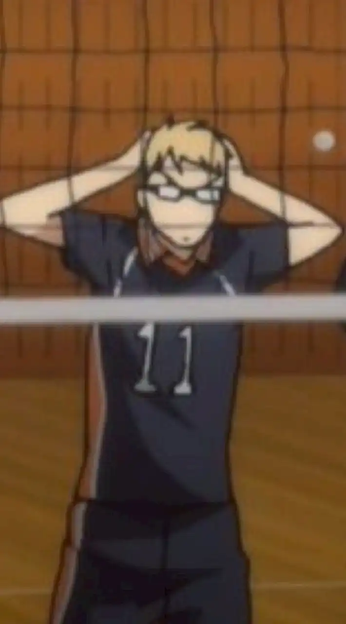 ` H A I K Y U U ! ! ( 🏐 )