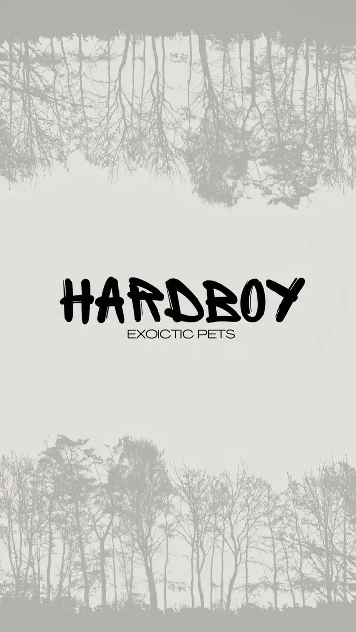 HARDBOY EXOTIC