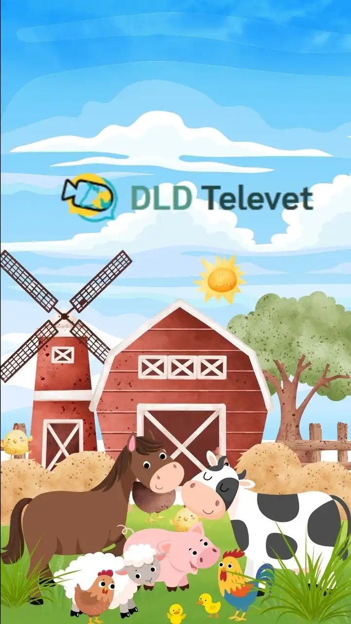 DLD Televet เฟส1