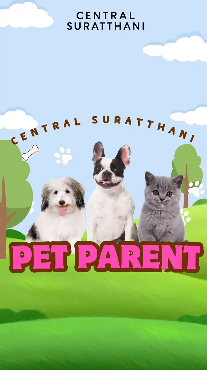 Pet Parent Central Suratthani