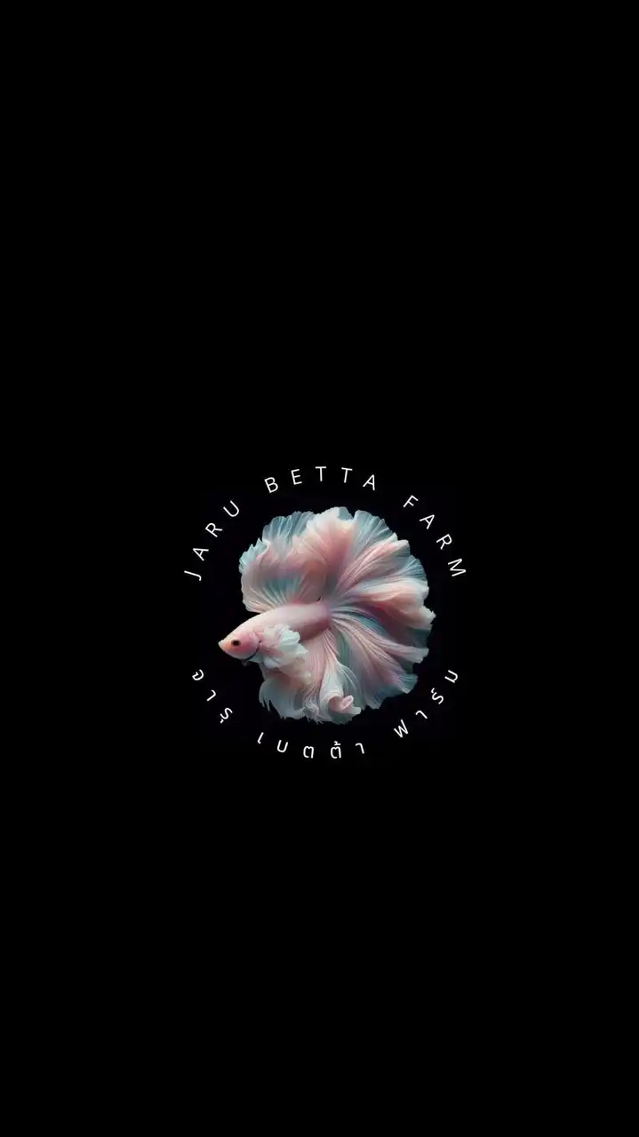 Betta Guppy Molly🐟