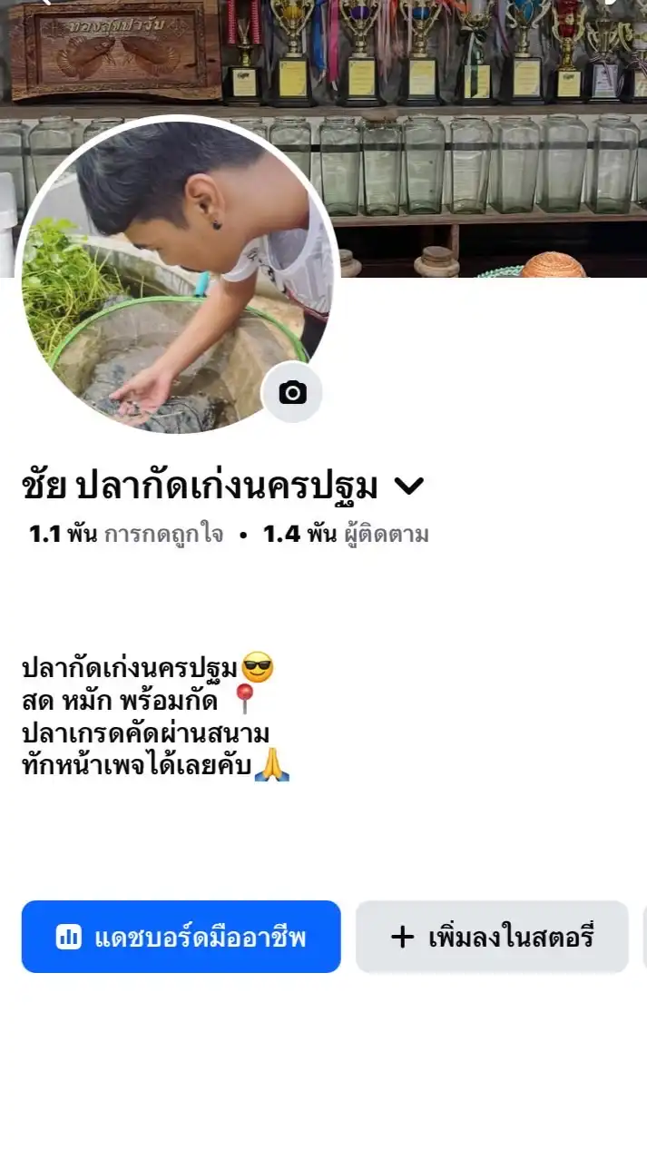 บ้านชัย ปลากัดเก่งนครปฐม