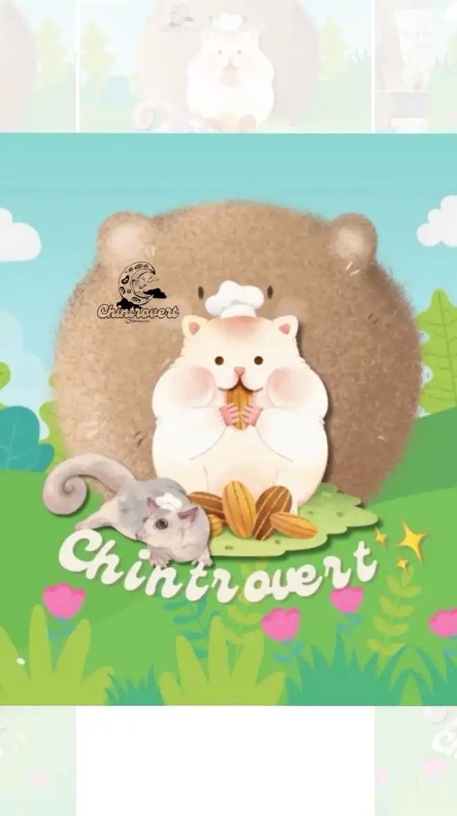 Chintrovert Shop✨
