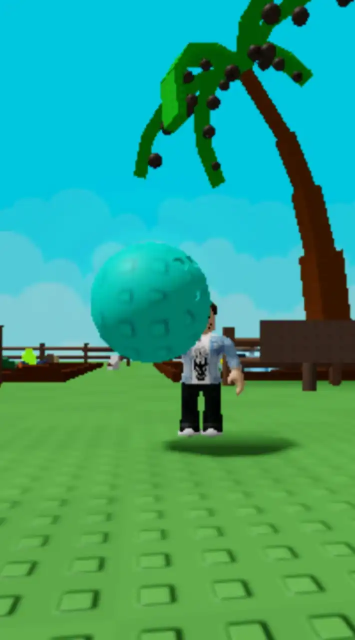 คนเล่น roblox ปลูกสวน