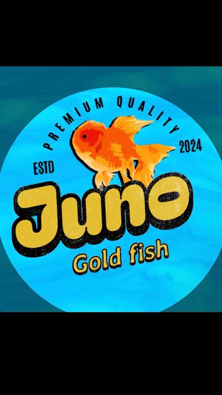JUNO GOLDFISH