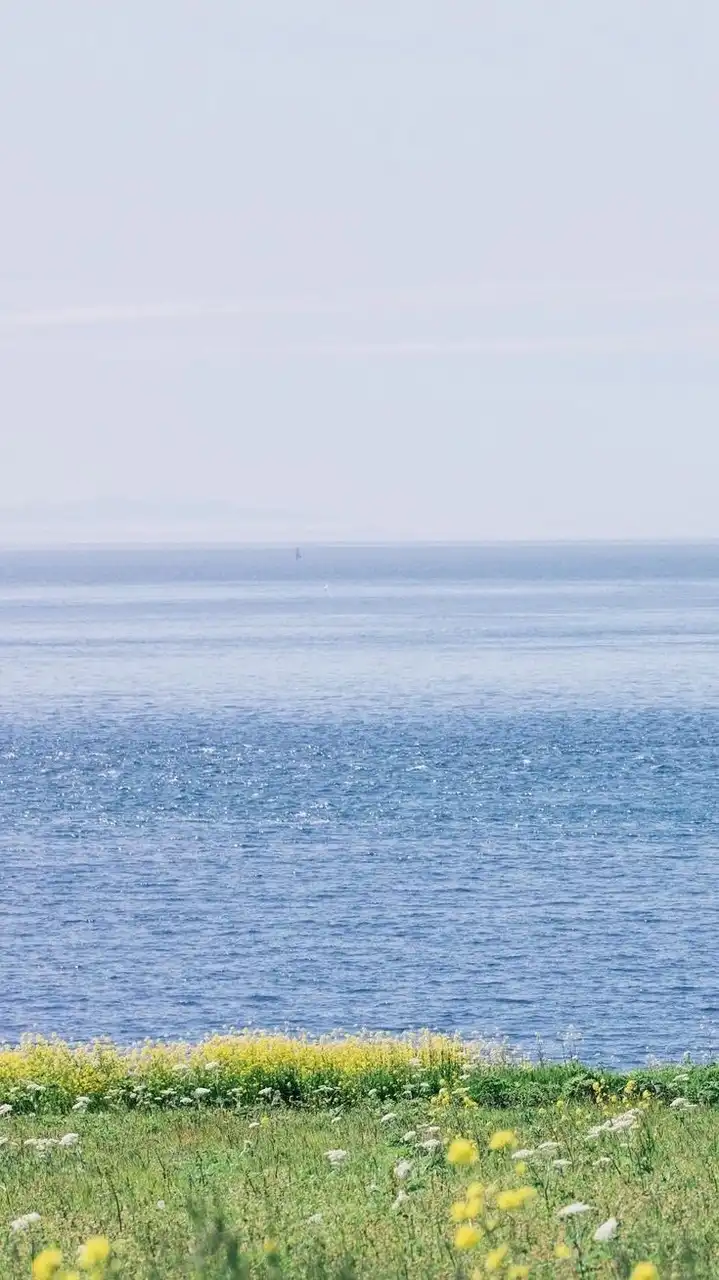 JOB - KEX x AP ONE ศรีราชา