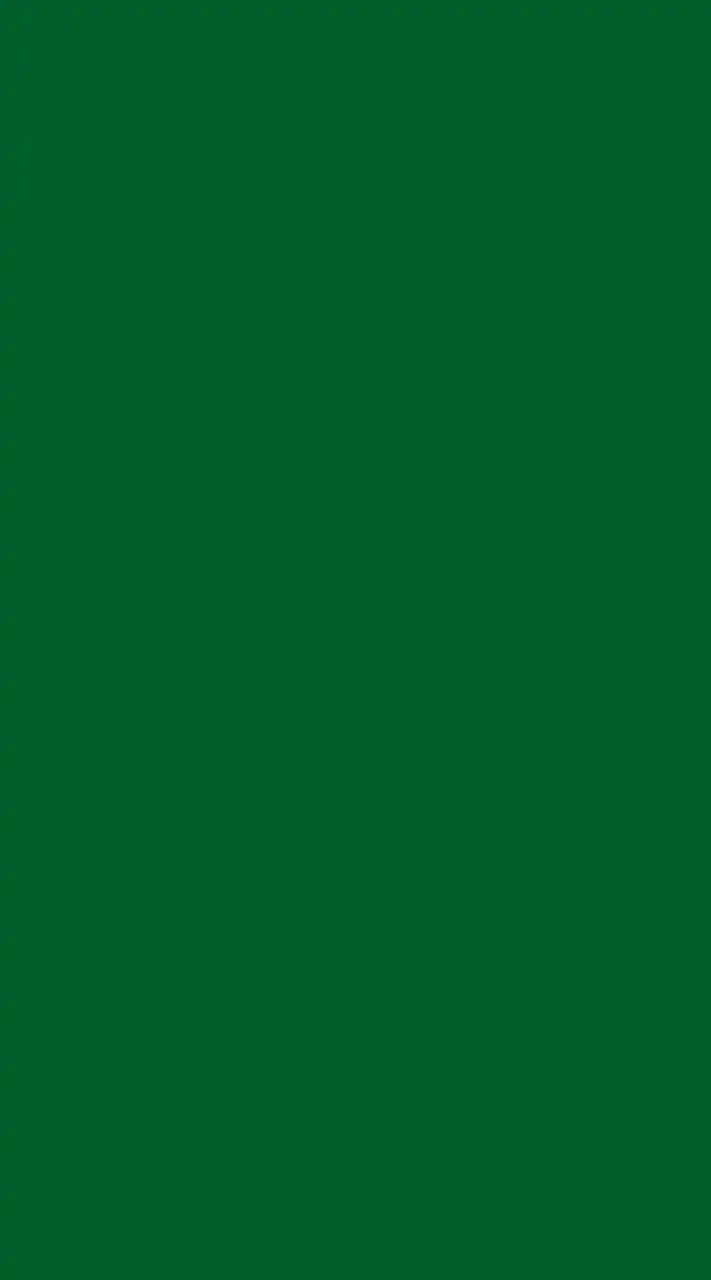 BM Team green💚