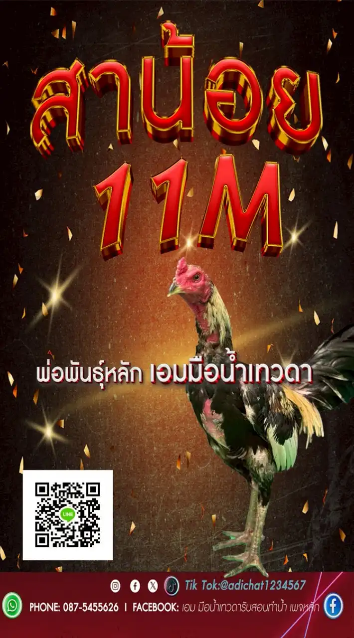 สาน้อย11M
